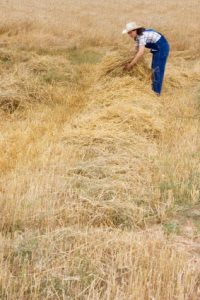 A Farm School for Women Image